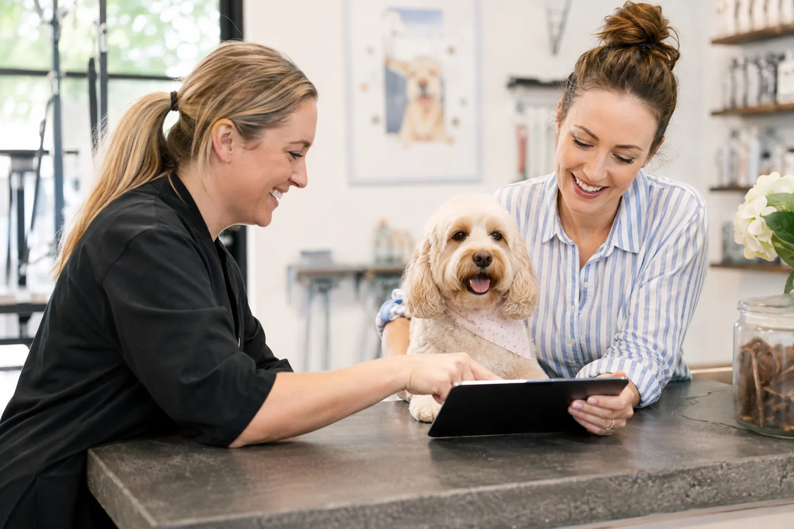 Pet grooming client scheduling a follow-up appointment